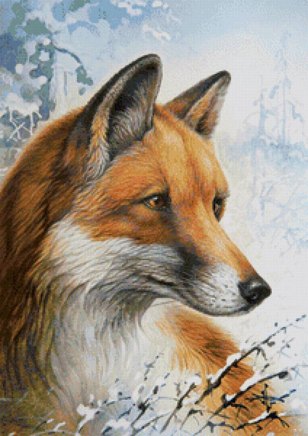 мир животных - предпросмотр