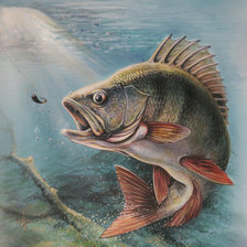 Схема вышивки «в подарок рыбаку»