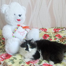 Схема вышивки «Маркиз»