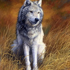 Схема вышивки «волки»