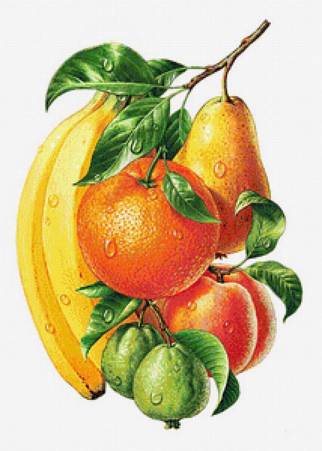 Фруктовое ассорти - апельсины, для кухни, груши, бананы, натюрморт, панель, персики, фрукты - предпросмотр