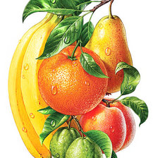 Схема вышивки «Фруктовое ассорти»