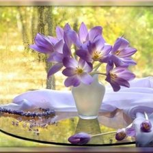 Схема вышивки «Солнечные клематисы»