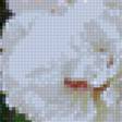 Предпросмотр схемы вышивки «натюрморт» (№1203828)