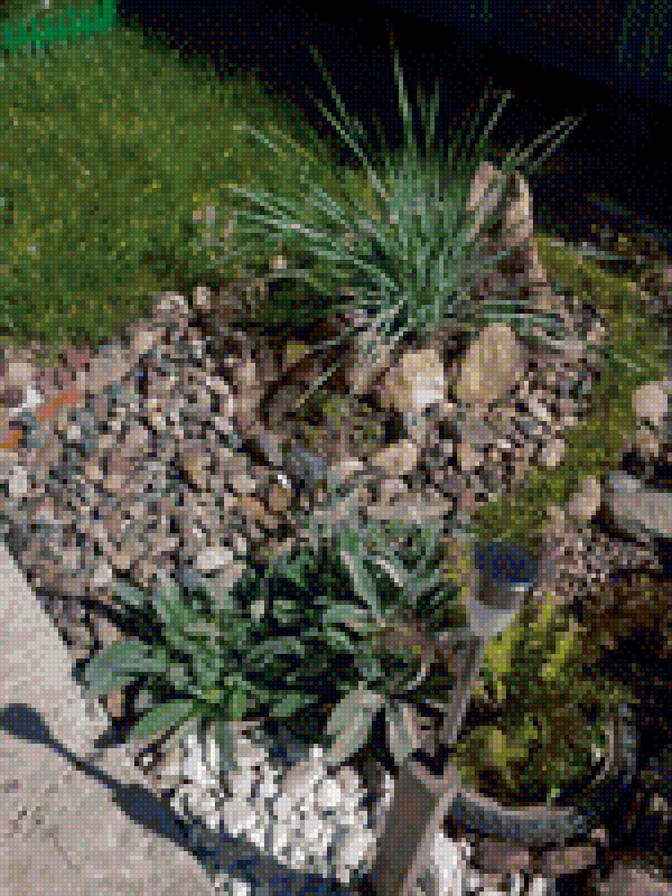 рокарий - камни - предпросмотр