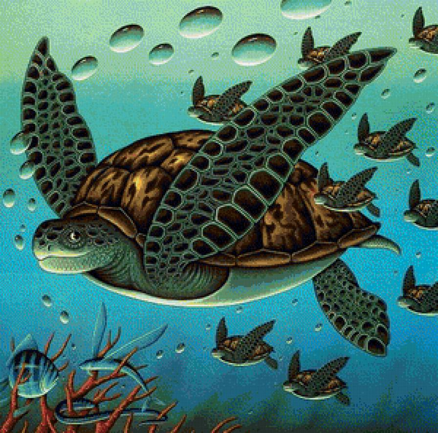 Подводный мир - черепаха - предпросмотр