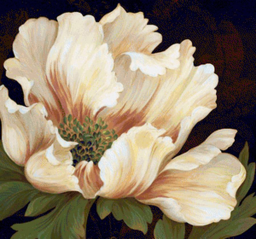 Пион (палитраDMC) для agmila - пионы, цветы, пион - предпросмотр