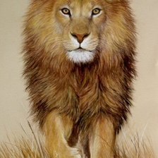 Схема вышивки «царь зверей»