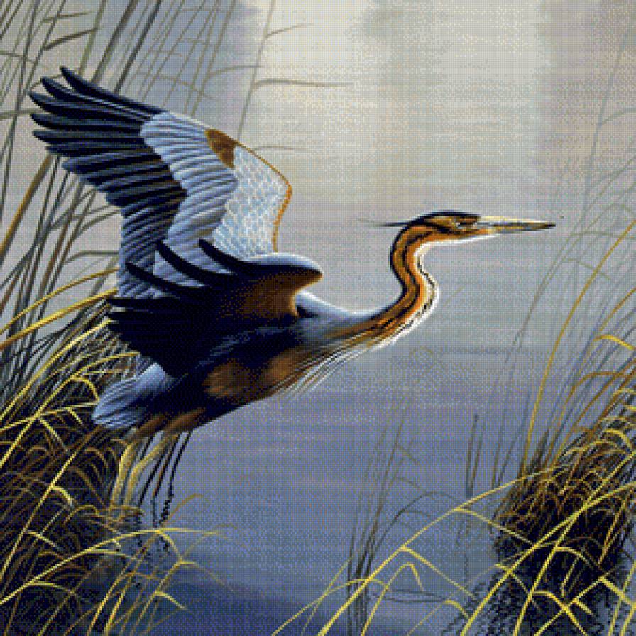 цапля - птицы - предпросмотр