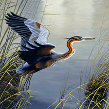 Схема вышивки «цапля»