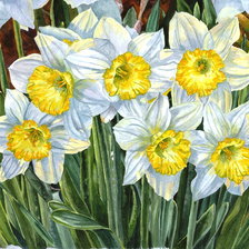 Схема вышивки «№1205011»