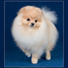 Схема вышивки «№1205125»