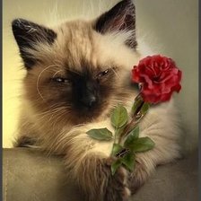 Схема вышивки «№1205290»