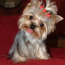 Схема вышивки «милашка»