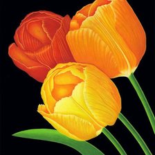 Схема вышивки «№1205468»