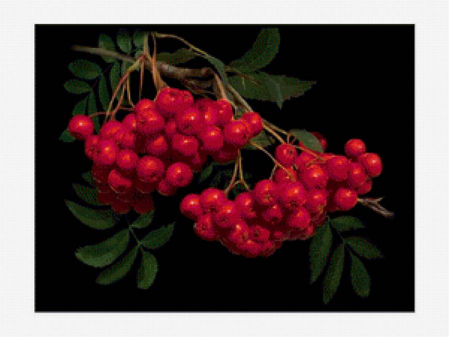 №1205614 - предпросмотр