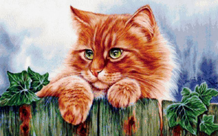 №1205677 - предпросмотр