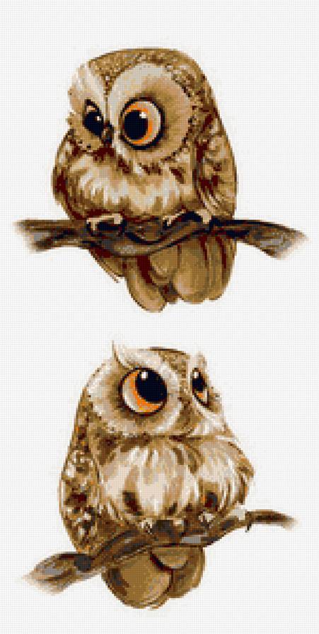 совушки - предпросмотр