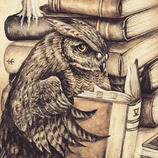 Схема вышивки «умная сова»