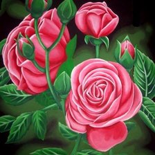 Схема вышивки «Розы»