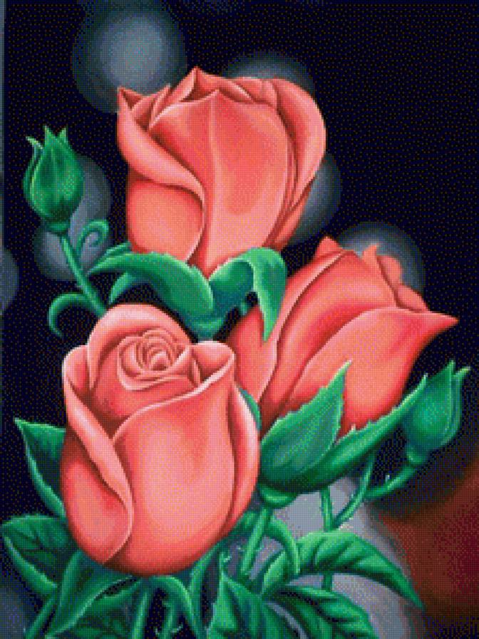 Розы - цветок, цветы, роза, букет - предпросмотр