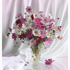 Схема вышивки «Космеи»