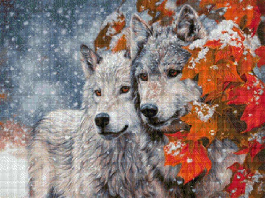 Волки - волки - предпросмотр