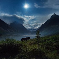 Схема вышивки «№1206320»