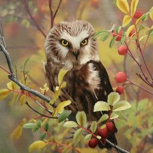 Схема вышивки «Лесная красавица»