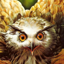 Схема вышивки «Взгляд»