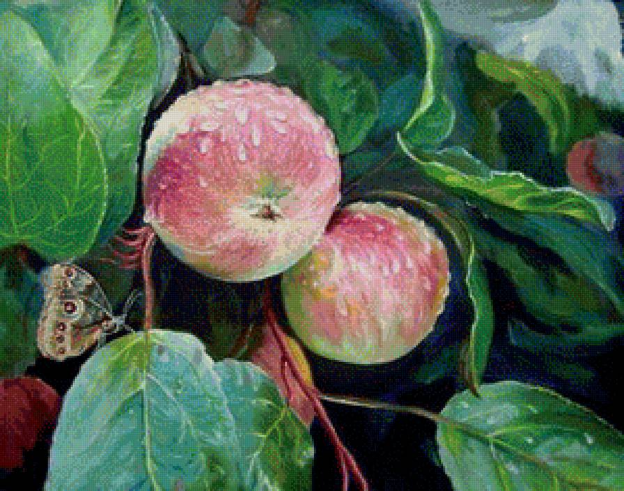 Виктор Жуков. Яблоки после дождя. - фрукты, природа, картина - предпросмотр