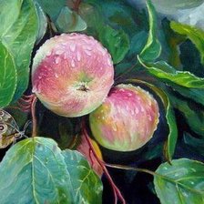 Схема вышивки «Виктор Жуков. Яблоки после дождя.»