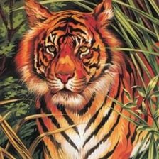 Схема вышивки «Тигр»
