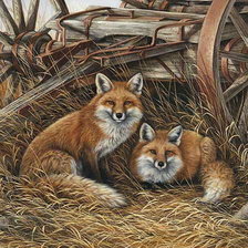 Схема вышивки «2 лисички»