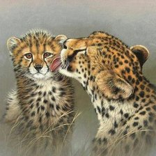 Схема вышивки «гепарды»