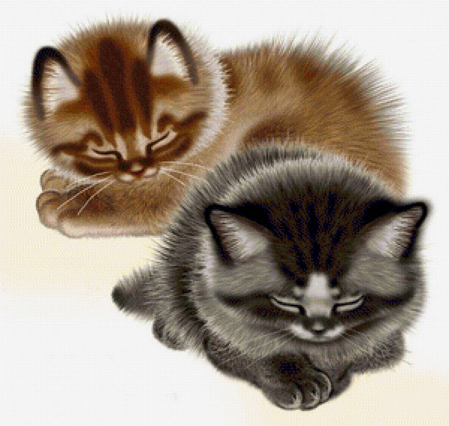 Котята - животные, котята - предпросмотр