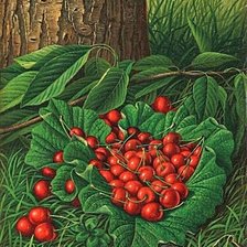 Схема вышивки «натюрморт»