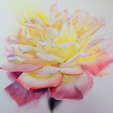 Схема вышивки «Роза. Sattha Homsawat ( La Fe)»