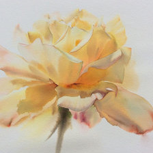 Схема вышивки «Роза 2. Sattha Homsawat ( La Fe)»