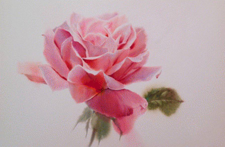 Роза 3. Sattha Homsawat ( La Fe) - художники, цветы - предпросмотр