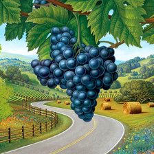 Схема вышивки «виноградная гроздь»