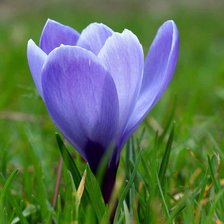 Схема вышивки «цветок»