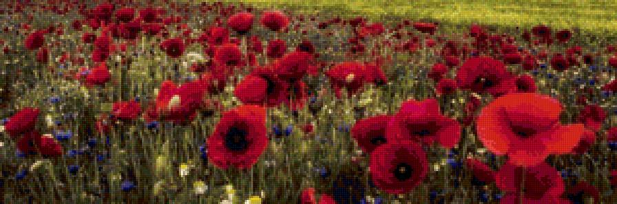 маки - маки - предпросмотр