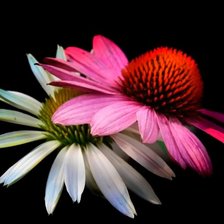 Схема вышивки «цветок»