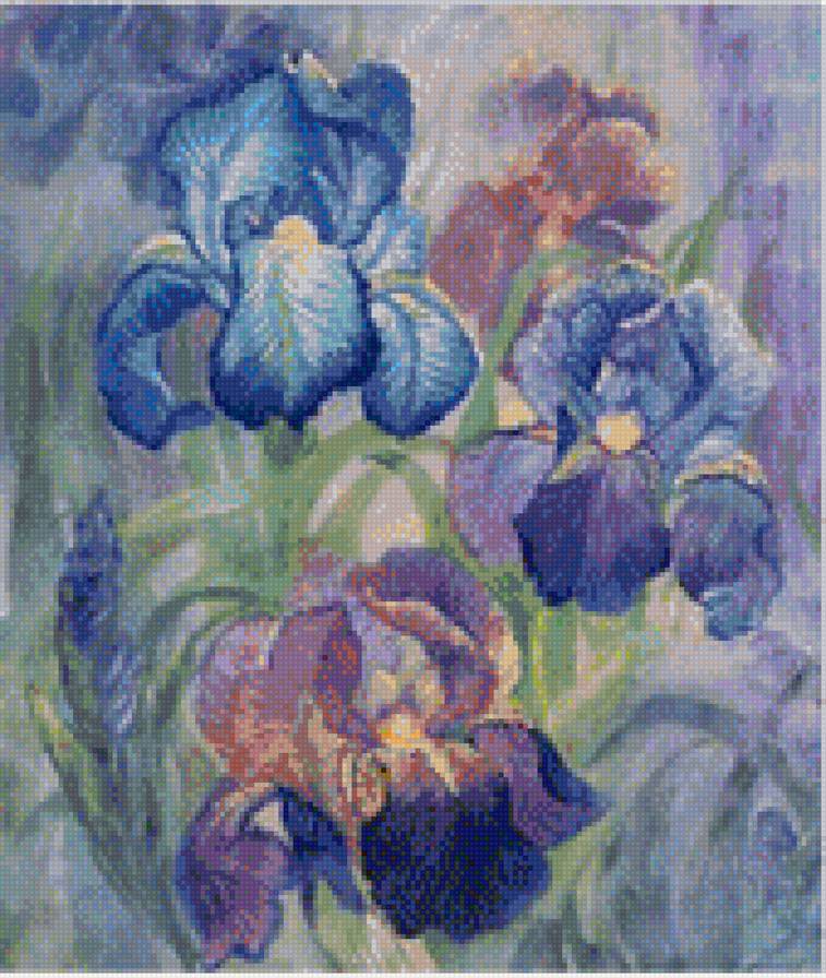 Нежные ирисы - предпросмотр