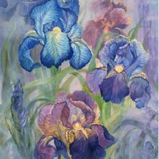 Схема вышивки «Нежные ирисы»