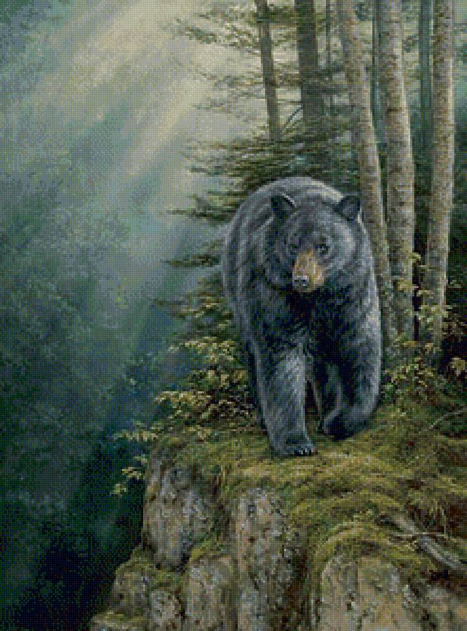 гризли - предпросмотр