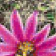 Предпросмотр схемы вышивки «кактус» (№1207913)