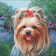 Схема вышивки «Йорк»