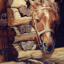 Схема вышивки «лошадка»